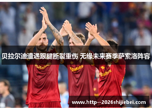 贝拉尔迪遭遇跟腱断裂重伤 无缘未来赛季萨索洛阵容